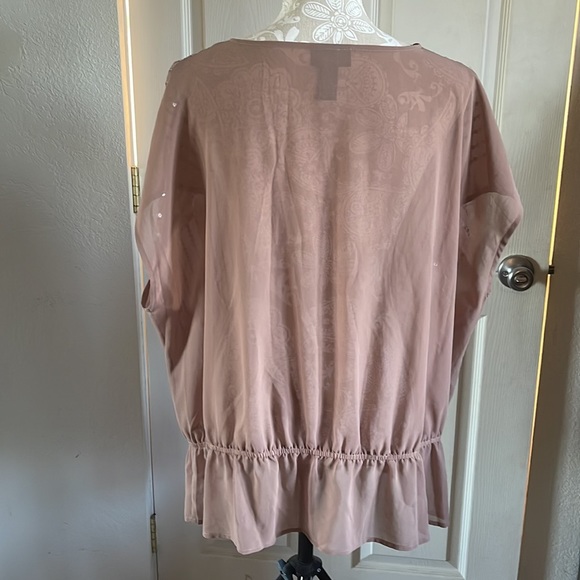 Beautiful Beige Lane Bryant Sheer Top, Size 18-20, no rips tears or stains - Picture 3 of 6